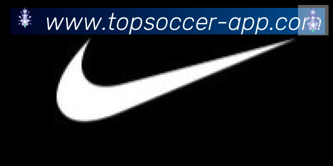 FIFA世界杯买球官方网站合作伙伴
